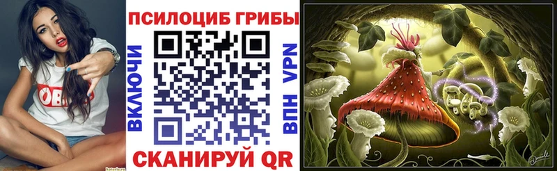 закладка  Пионерский  Галлюциногенные грибы MAGIC MUSHROOMS 